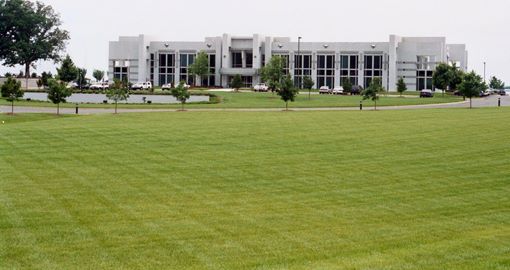 trawnik z rolki przy instytucji